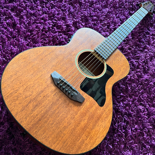 Caraya Traveler Series Electric-Acoustic Arched Back Guitar P304111EQ (w/ Gig Bag)