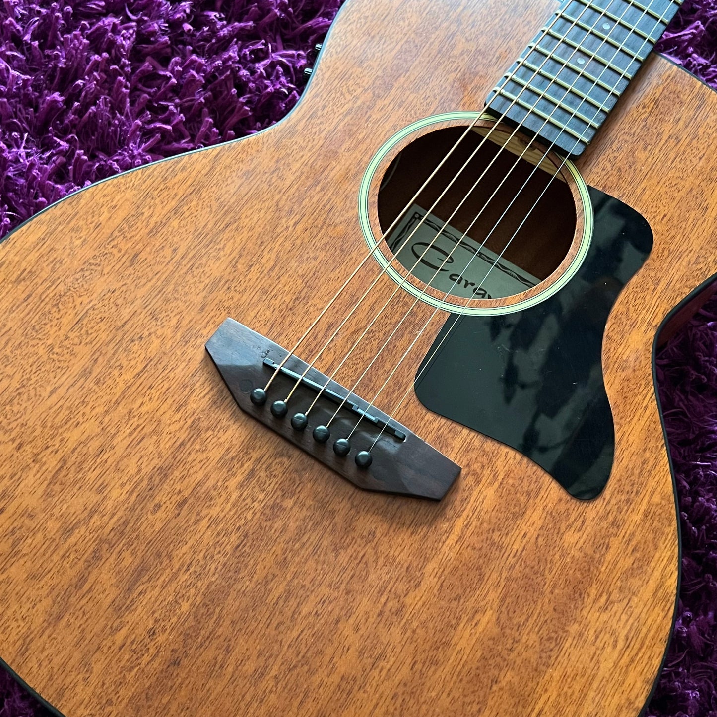Caraya Traveler Series Electric-Acoustic Arched Back Guitar P304111EQ (w/ Gig Bag)