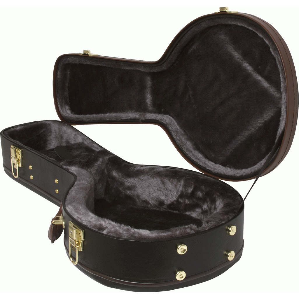 Epiphone A Style Mandolin Hard Case