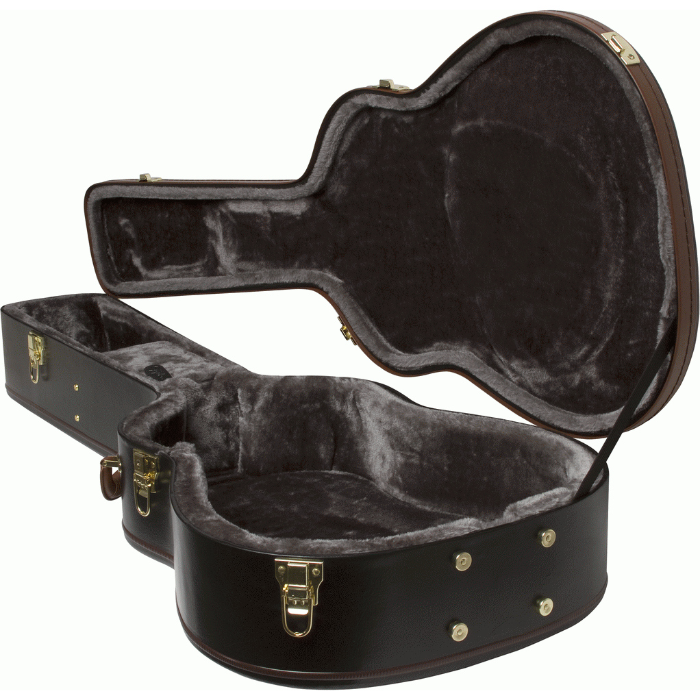 Epiphone Acoustic AJ/Dreadnought Hard Case