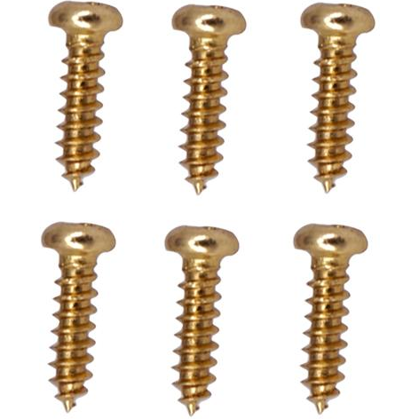 6 x Guitar Machine Head Tuning Peg Tuner Screws Gold