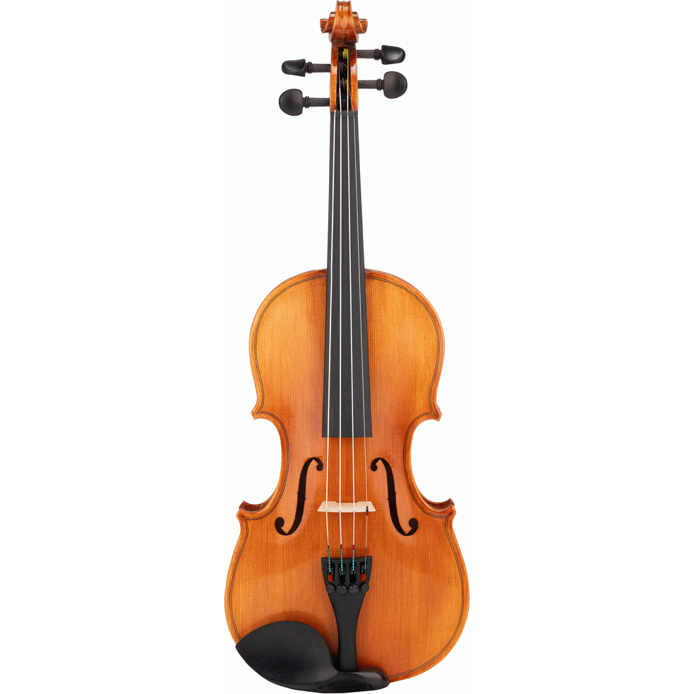 Beale BV112 Violin Standard 1/2 Size Outfit