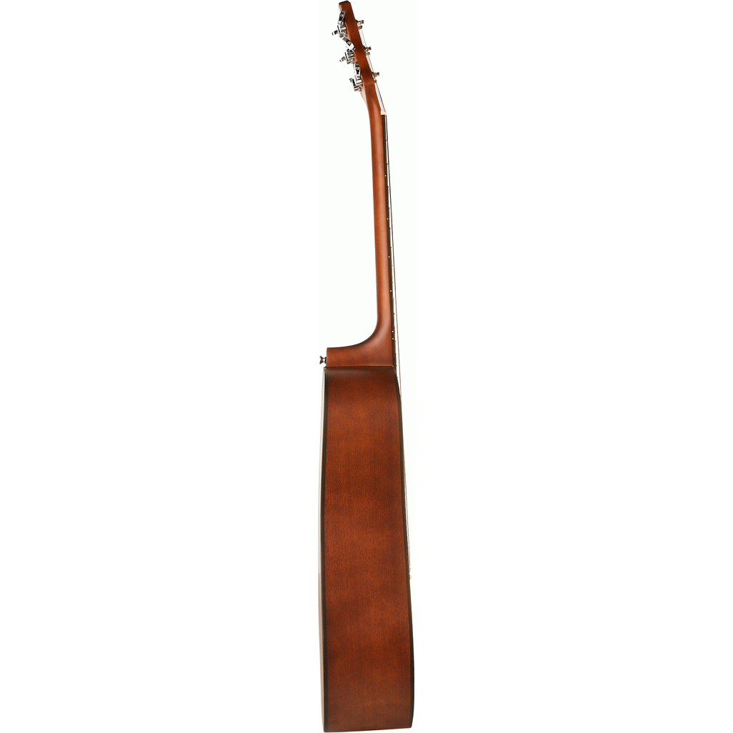 Ashton D20MS Dreadnought Acoustic Guitar (Mahogany Satin)