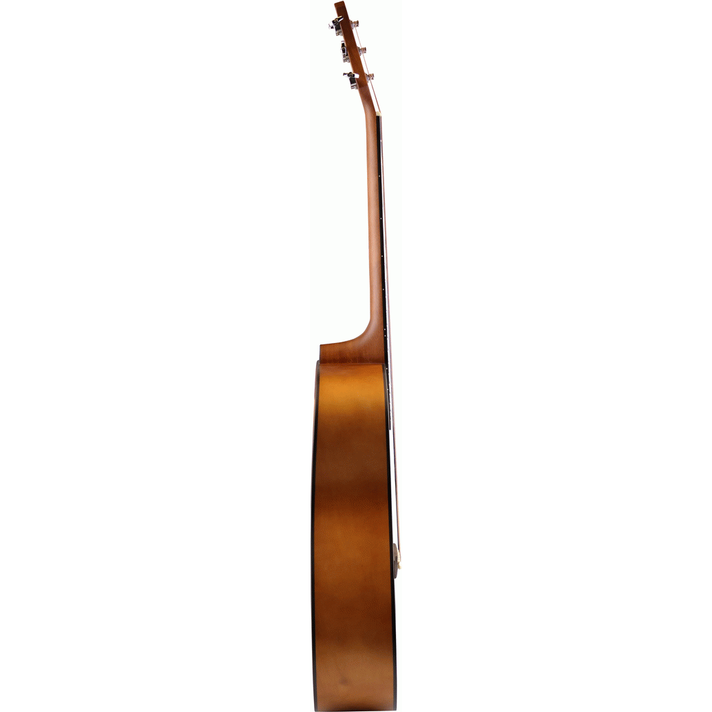 Ashton D20SNTM Solid Top Dreadnought Acoustic Guitar