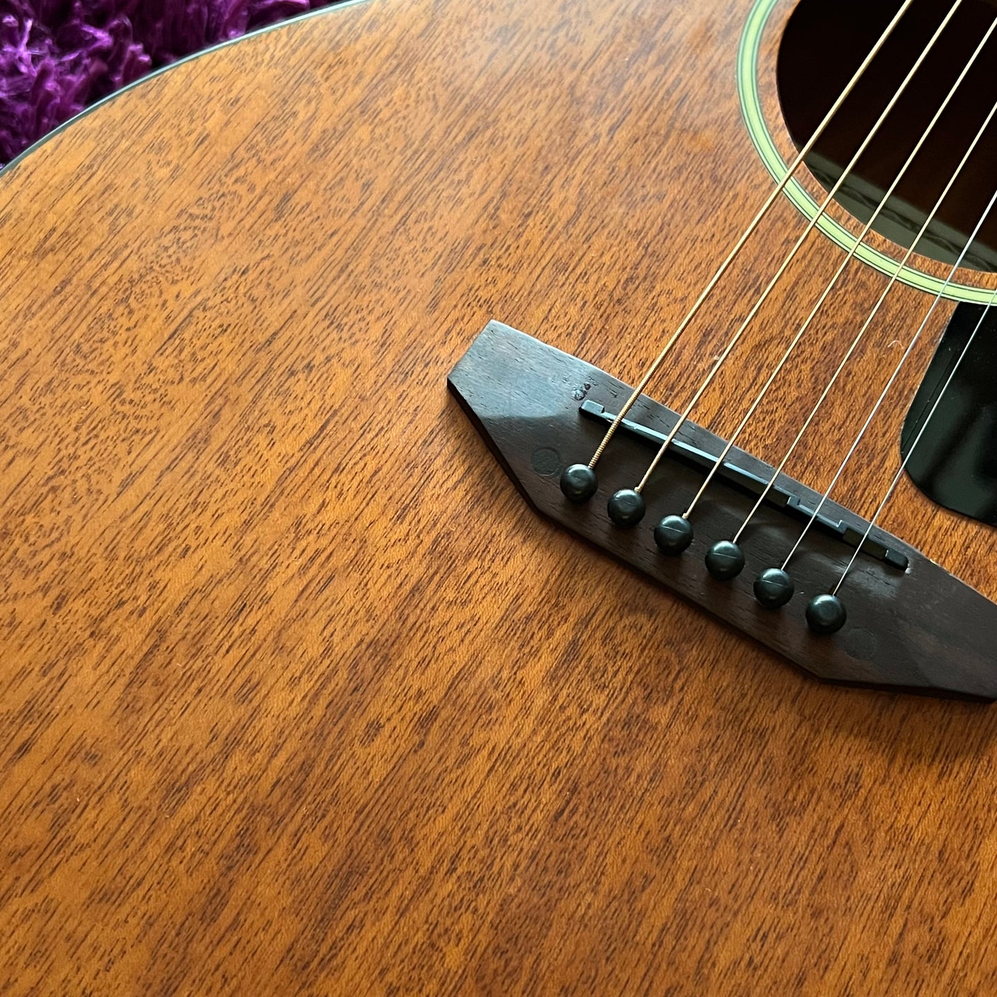 Caraya Traveler Series Electric-Acoustic Arched Back Guitar P304111EQ (w/ Gig Bag)