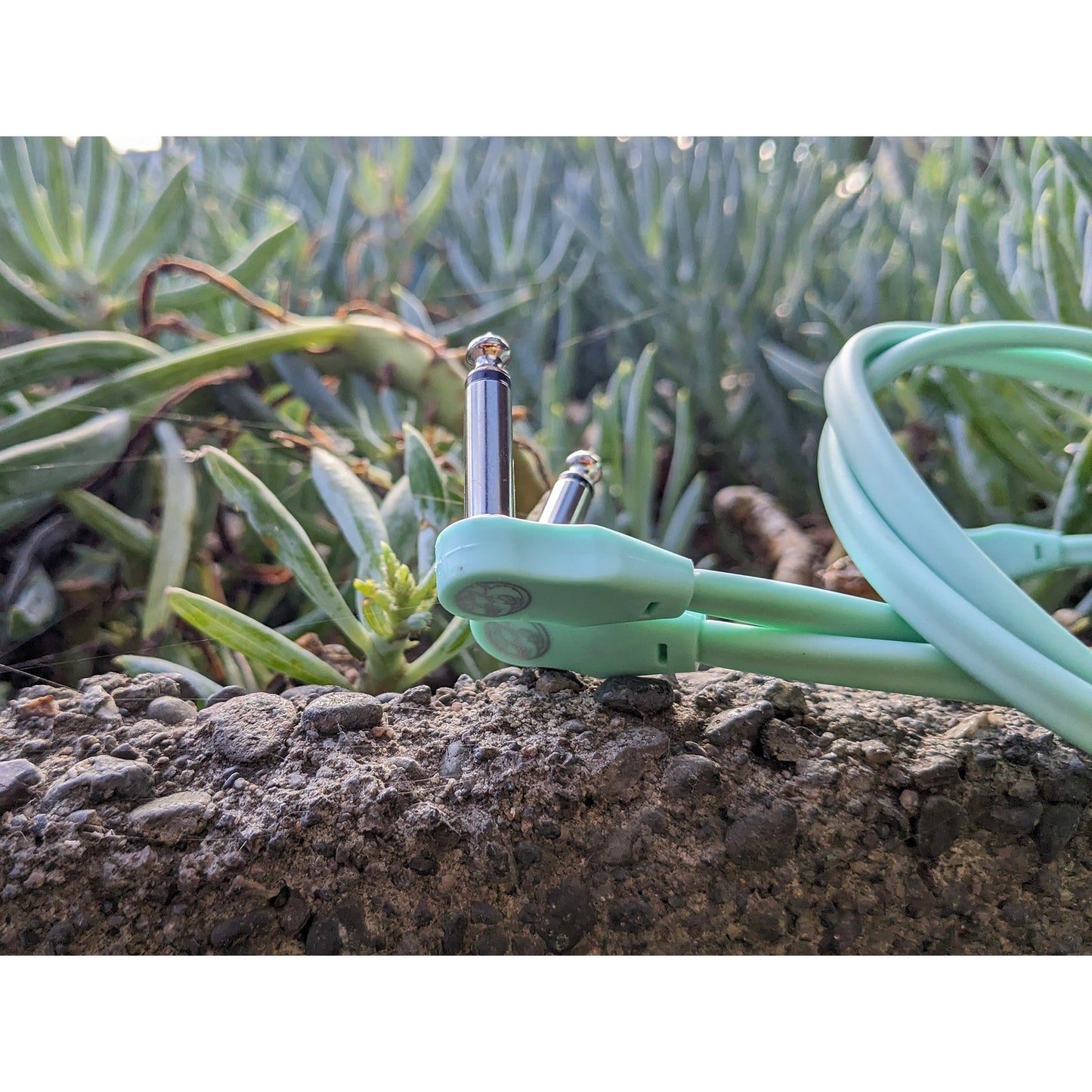 Pig Hog Lil' Pigs Low Profile 2 Foot Patch Cables, 2 Pack - Seafoam Green