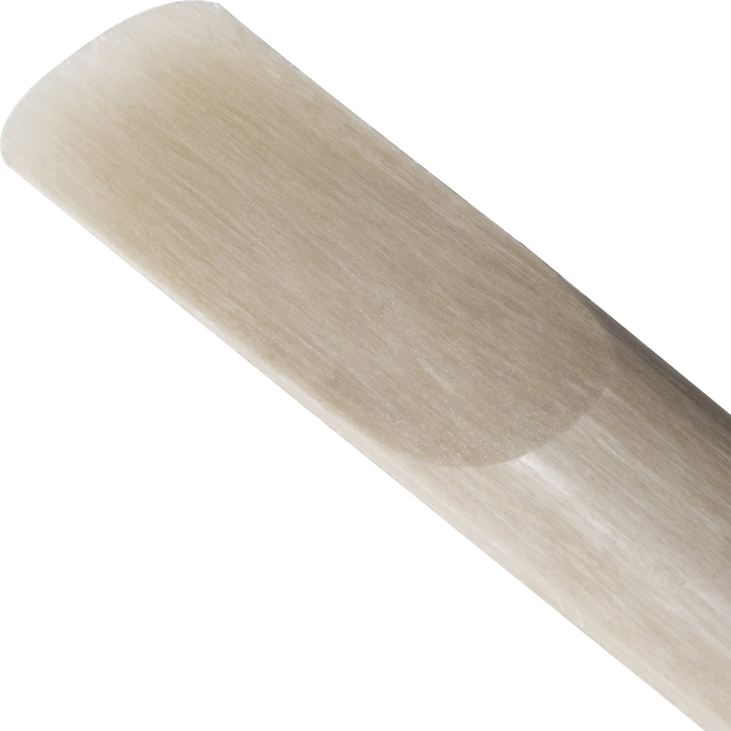 D'Addario VENN Alto Saxophone Reed, G2, Strength 2.0