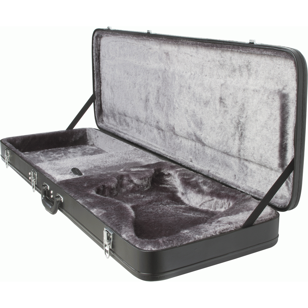 Epiphone Firebird Hard Case