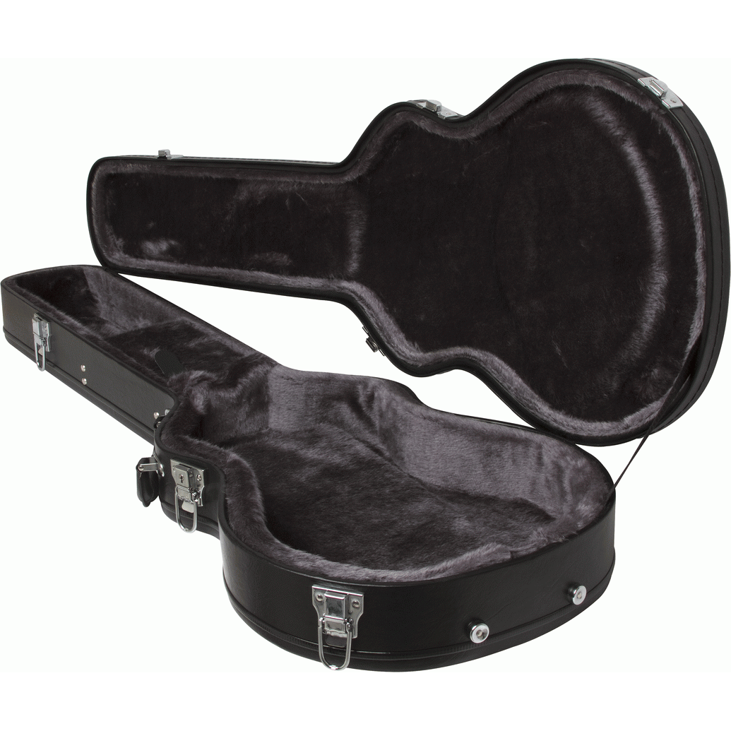 Epiphone Les Paul Hard Case