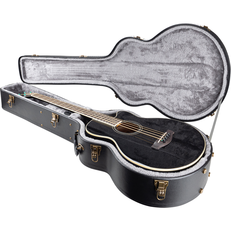 Armour APCAB Acoustic Bass Hard Case