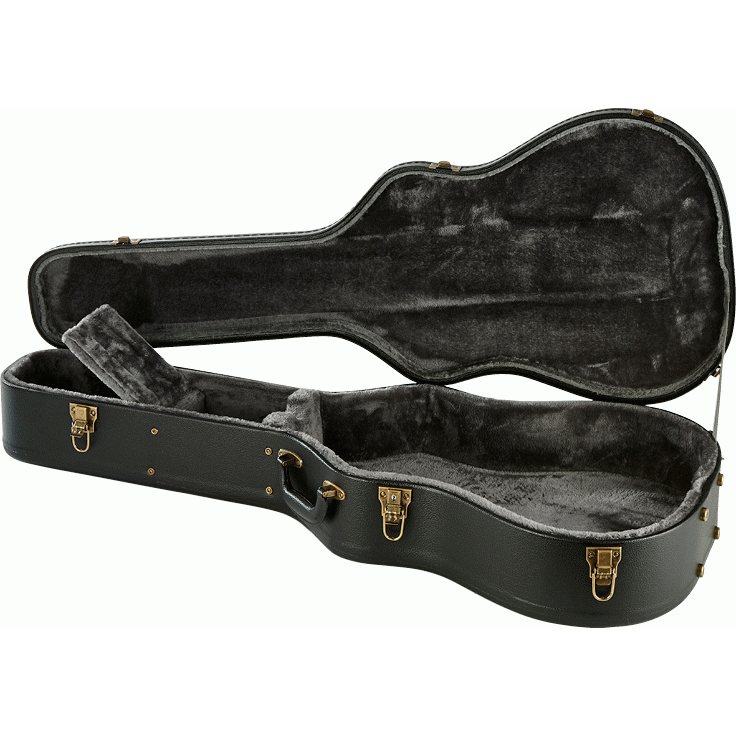 Armour APCW Acoustic Hard Case