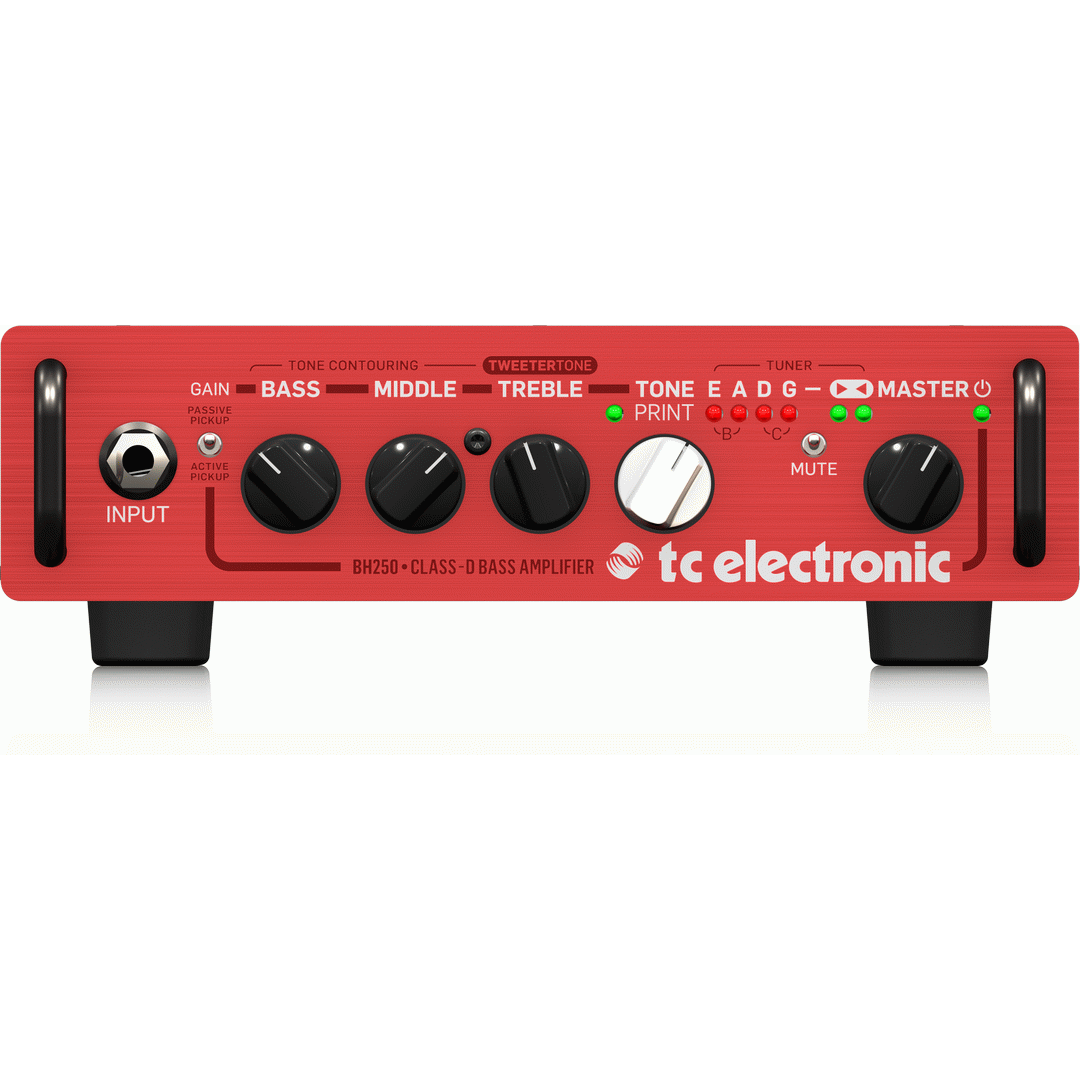 TC Electronic BH250 Bass Head