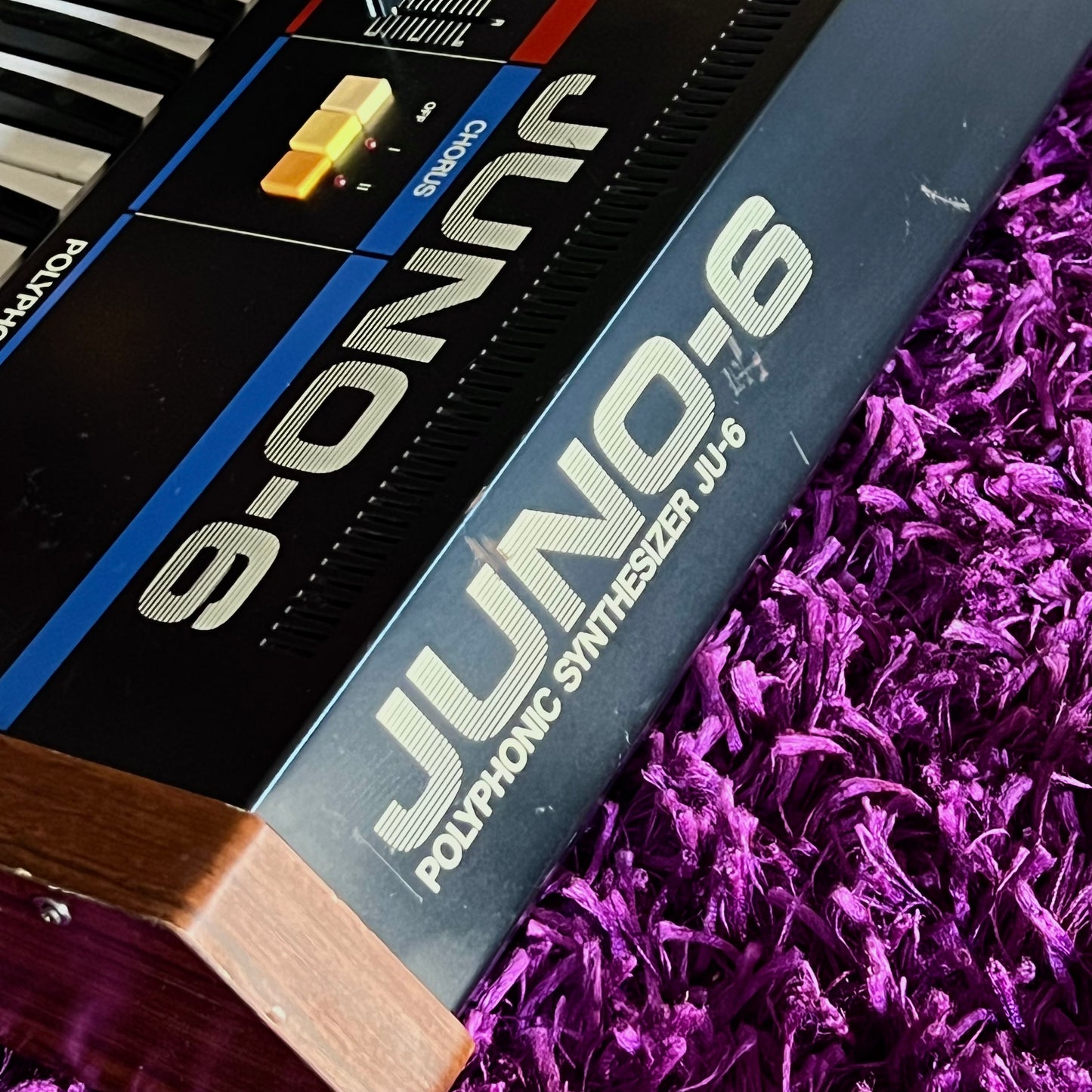 Early 1980s Roland JUNO-6 Polyphonic Analog Synthesizer Vintage (Factory 240V)
