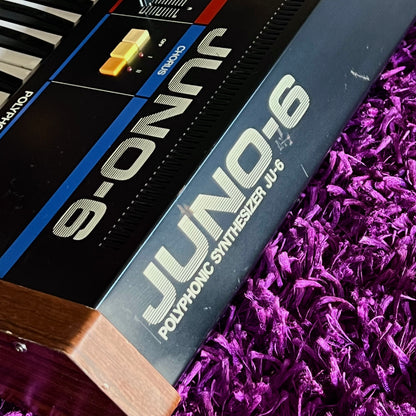 Early 1980s Roland JUNO-6 Polyphonic Analog Synthesizer Vintage (Factory 240V)