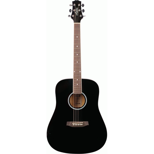 Ashton D20 BK Acoustic Guitar