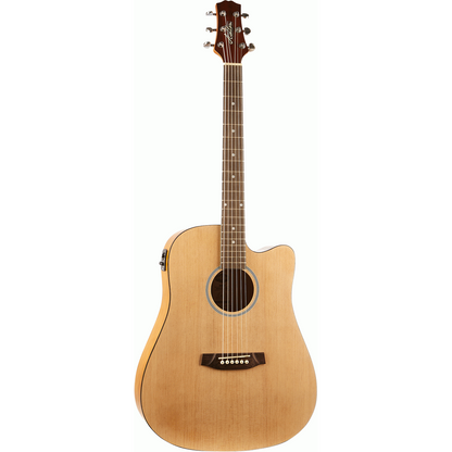 Ashton D20CEQ NTM Dreadnought Cutaway Acoustic Guitar with EQ