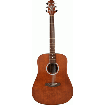 Ashton D20 MS Acoustic Guitar