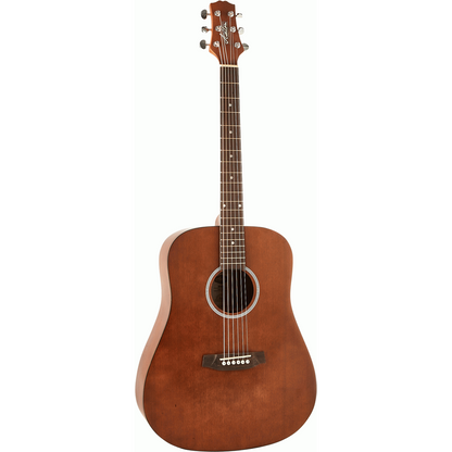 Ashton D20 MS Acoustic Guitar