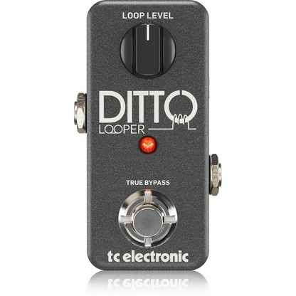 TC Electronic Ditto Looper