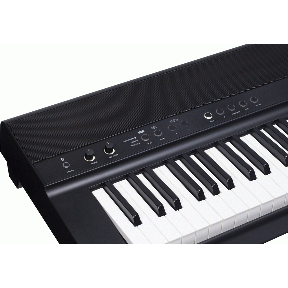 Beale DP600BT Digital Piano with Bluetooth Control Plus Beale DP600 Stand