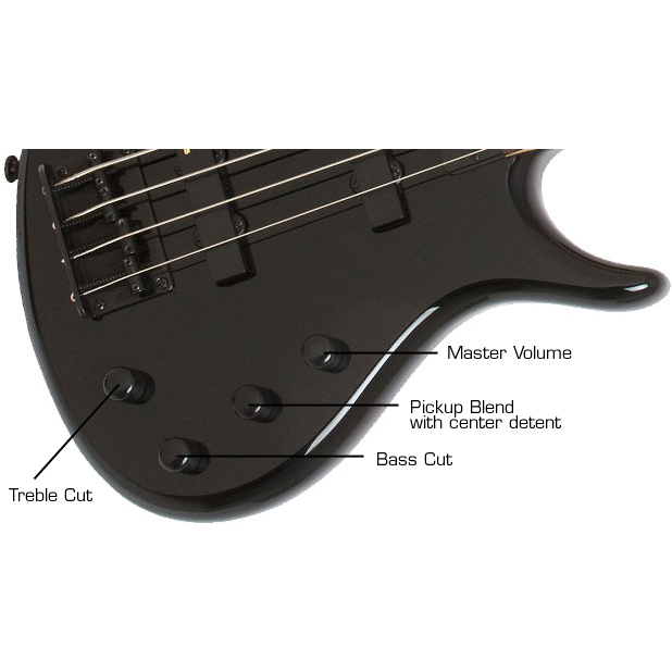 Epiphone Toby Standard IV Bass Ebony