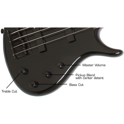 Epiphone Toby Standard IV Bass Ebony