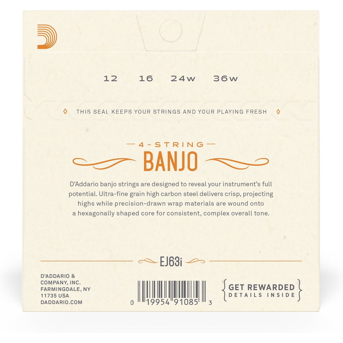 D'Addario EJ63I Irish Tenor Banjo Strings, Nickel, 12-36
