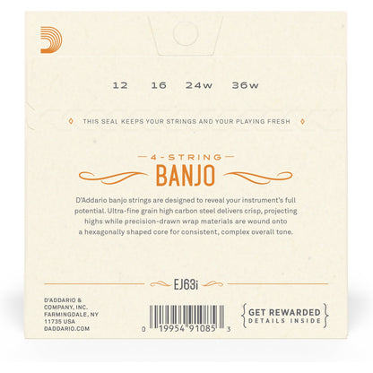 D'Addario EJ63I Irish Tenor Banjo Strings, Nickel, 12-36