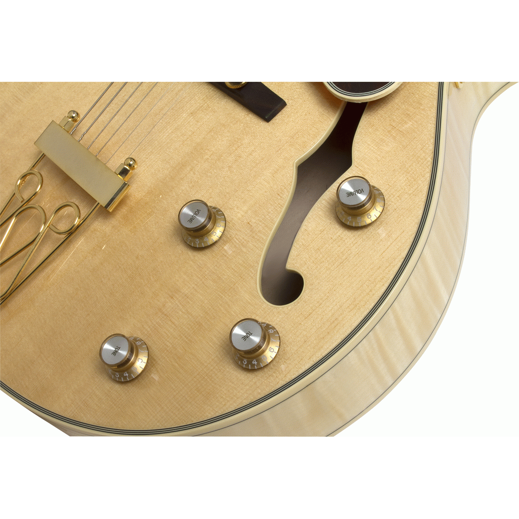 Epiphone "Joe Pass" EMPEROR-II PRO Vintage Natural