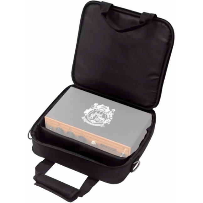 Orange Gig Bag Case for Pedal Baby