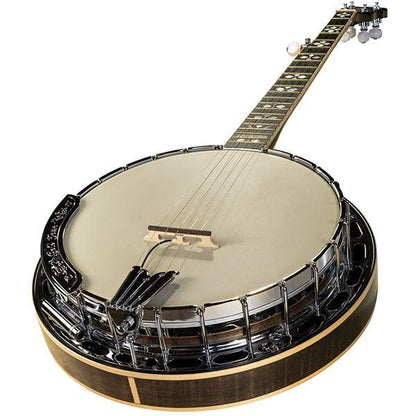 LR Baggs Banjo Pickup