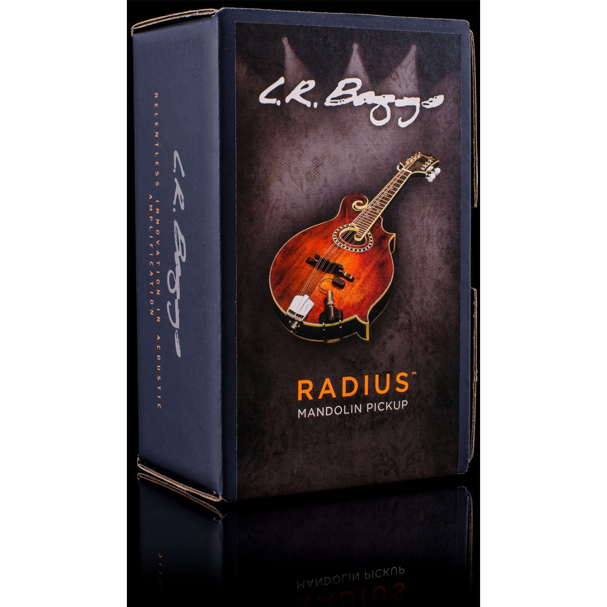 LR Baggs RADM Radius Mandolin Pickup w/ JACK