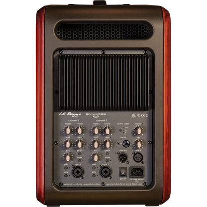 LR Baggs Synapse Personal PA System