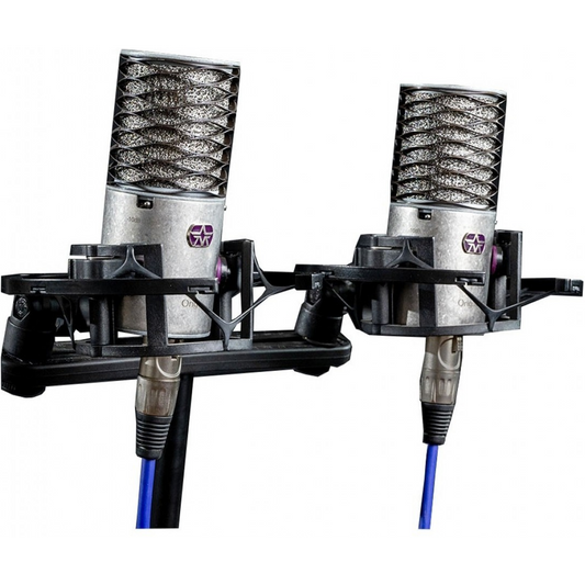 Aston Microphones Origin Stereo Pair