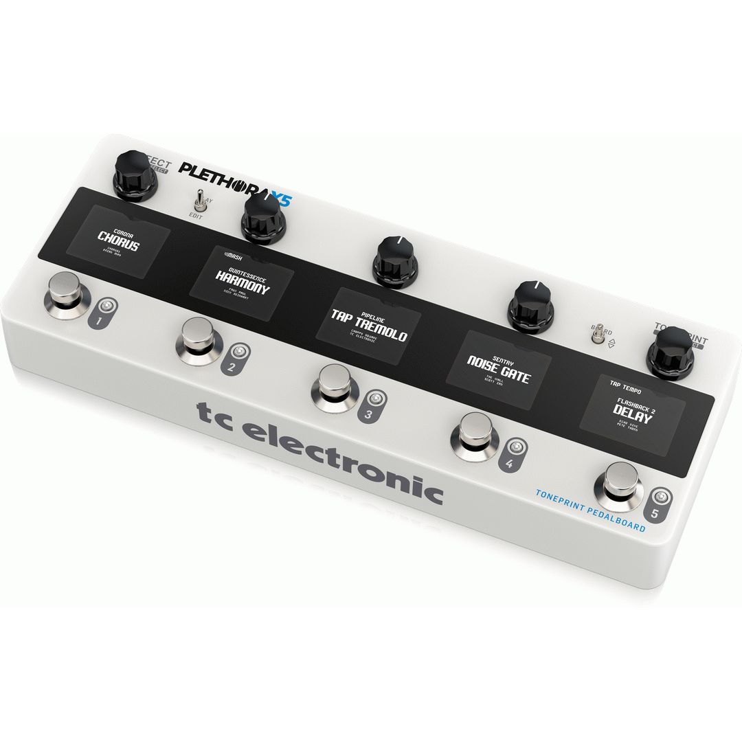 TC Electronic Plethora X5