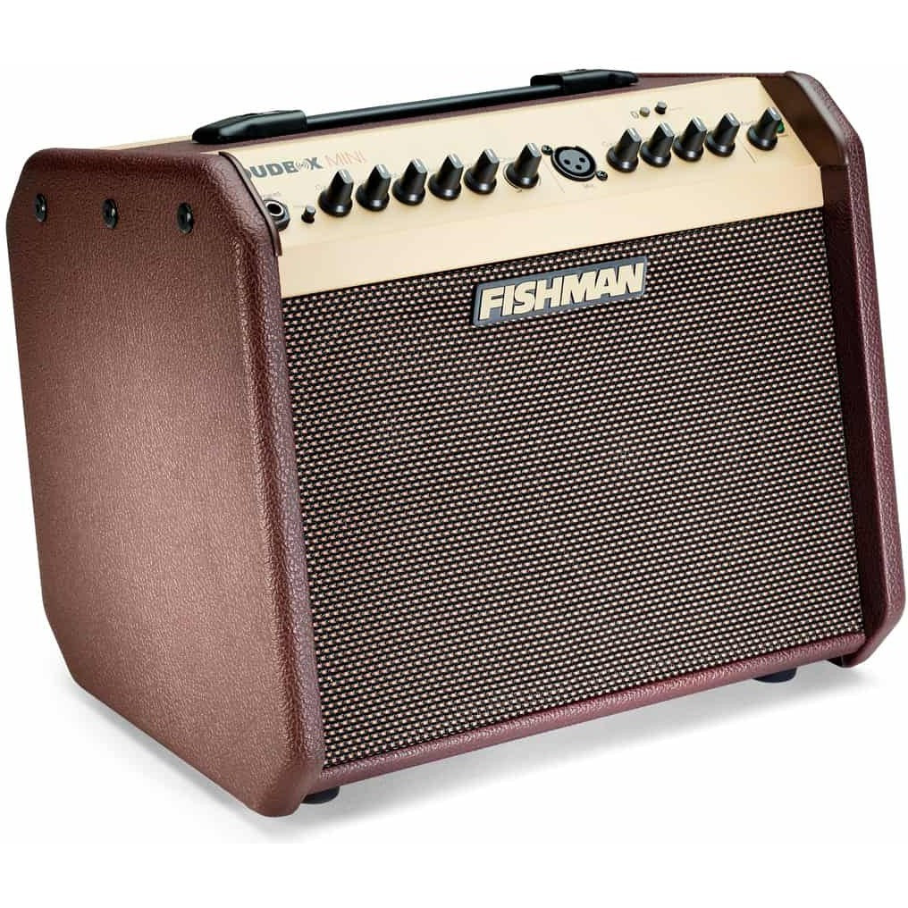 Fishman Loudbox Mini Charge With Bluetooth