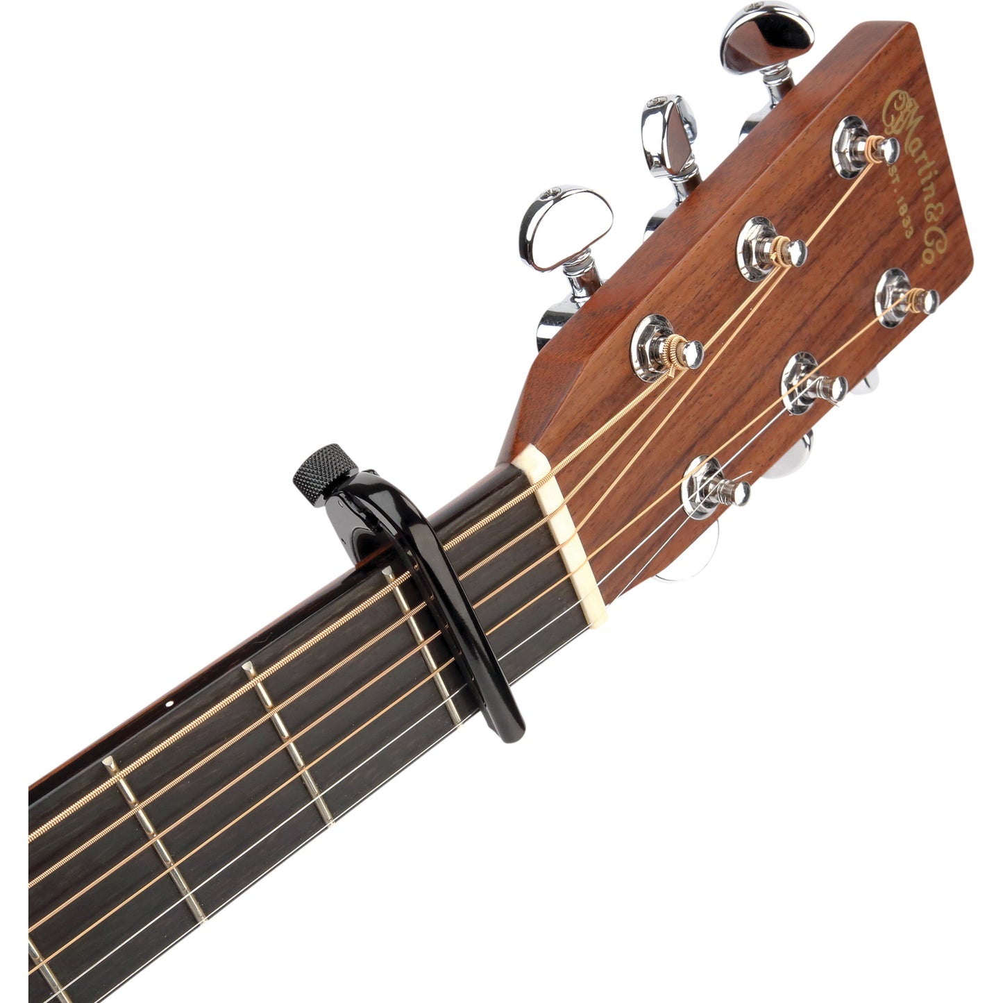 D'Addario Pro Capo