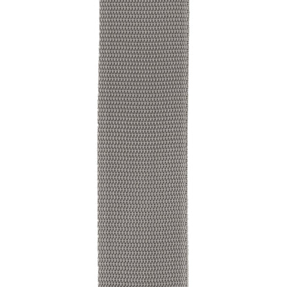 D'Addario Auto Lock Polypro Guitar Strap, Silver