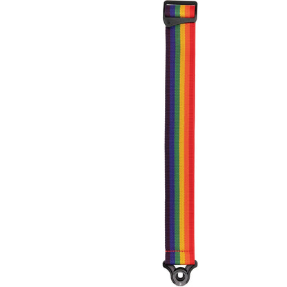 D'Addario Auto Lock Polypro Guitar Strap, Rainbow