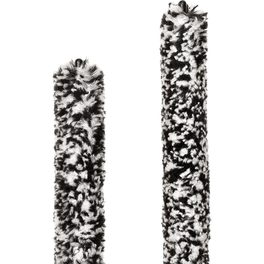 Rico Padgard – Bb Clarinet