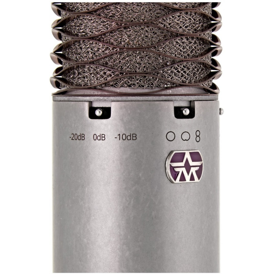 Aston Microphones Spirit Stereo Pair