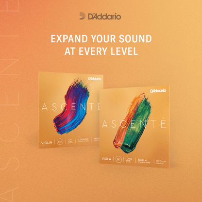 D'Addario Ascenté Violin E String – 3/4 Scale – Medium Tension