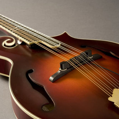 Fishman Nashville Series M-300 Archtop Mandolin Pickup