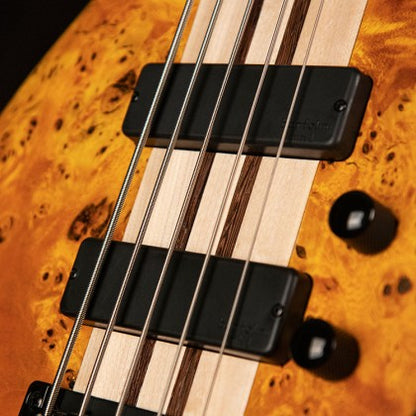 Cort A5 Plus SC 5-String Bass Guitar – Open-Pore Amber