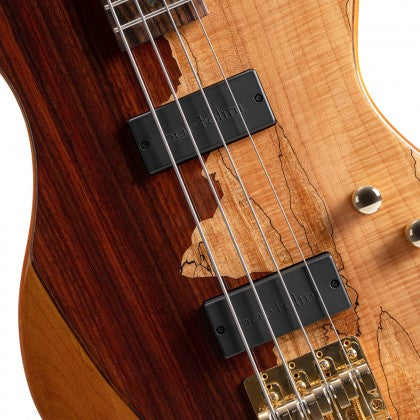 Cort Jeff Berlin Rithimic Signature 4 String Bass