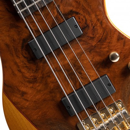 Cort Jeff Berlin Rithimic V Signature 5 String Bass