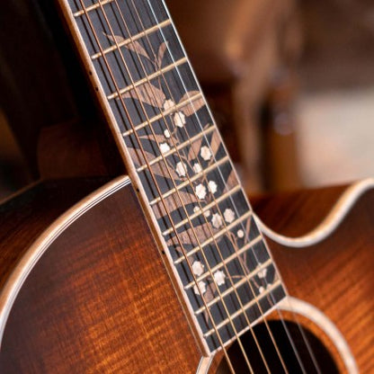Cort The Black Tree Limited-Edition Grand Auditorium Acoustic-Electric Guitar – Light Burst Satin