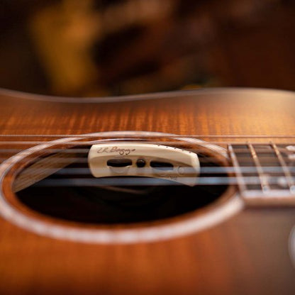 Cort The Black Tree Limited-Edition Grand Auditorium Acoustic-Electric Guitar – Light Burst Satin