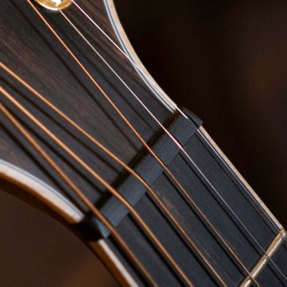 Cort The Black Tree Limited-Edition Grand Auditorium Acoustic-Electric Guitar – Light Burst Satin