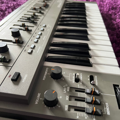 Roland SH-101 Analog Monophonic Synthesizer (w/ Mod Arm)